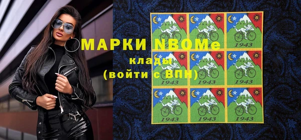 индика Дмитриев