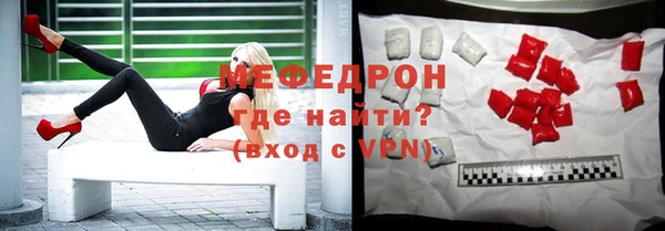 индика Дмитриев