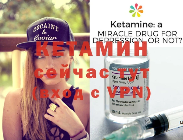 спиды Новодвинск