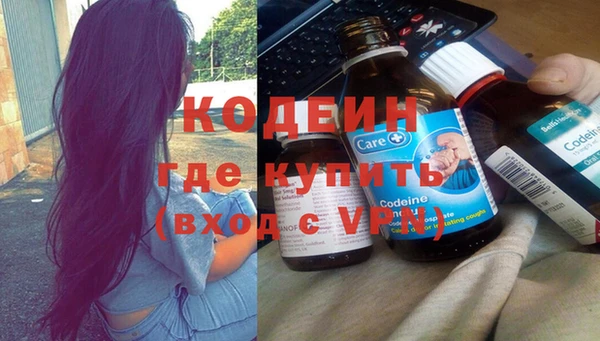 крисы Коряжма