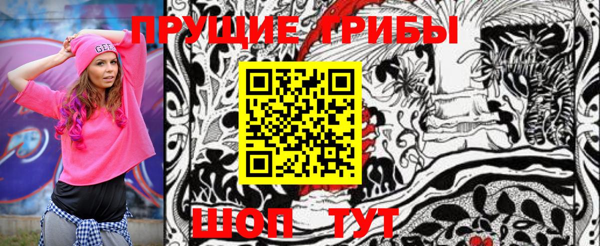 Геленджик  Галлюциногенные грибы Psilocybe  Вход с VPN 